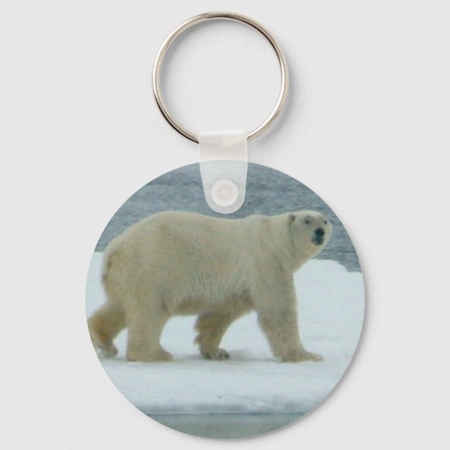 Porte-clés Ours polaire blanc (Recto)