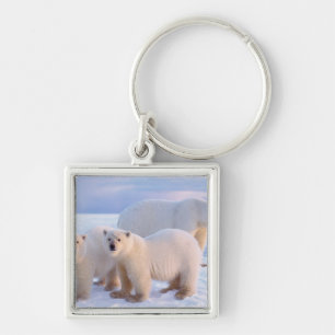 Porte-clés Ours polaire femelle avec des oursons sur la banqu