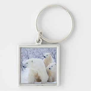 Porte-clés Ours polaires et deux oursons