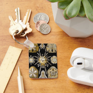 Porte-clés Oursins Vintage Dollars des Sables par Ernst Haeck