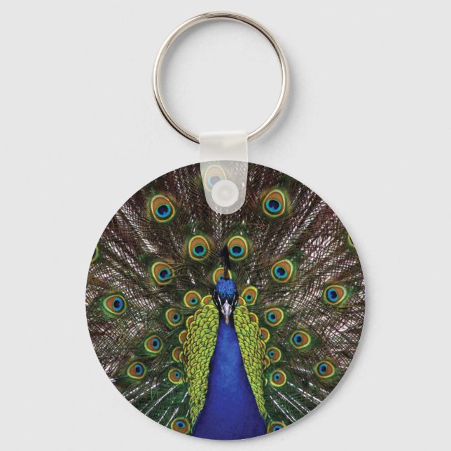 Porte-clés Pacock (Recto)