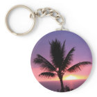 Palmier hawaïen et coucher de soleil coloré