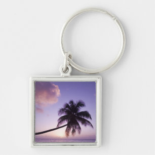 Porte-clés Palmier solitaire au coucher du soleil, plage de C