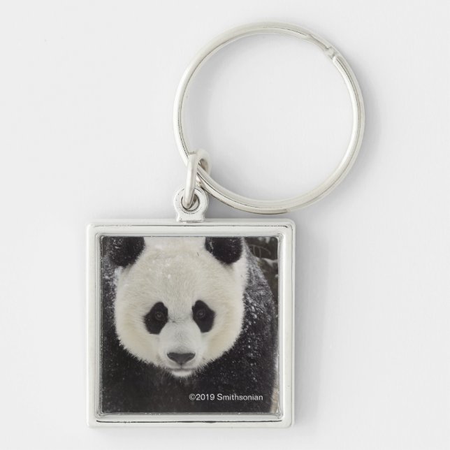 Porte-clés Panda géant en neige (Devant)