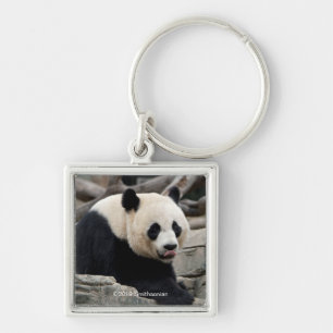 Porte-clés Panda géant sur les rochers