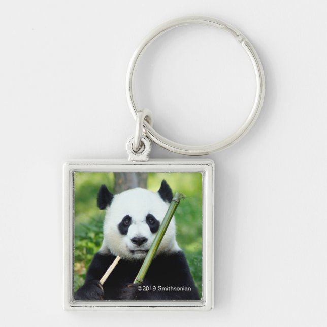 Porte-clés Panda géant tenant du bambou (Devant)
