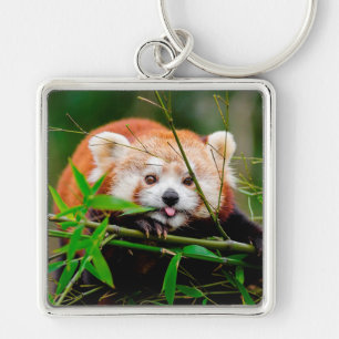 Porte-clés Panda rouge