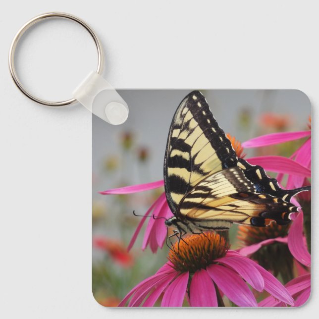Porte-clés Papillon à queue jaune sur Echinacea rose (Recto)