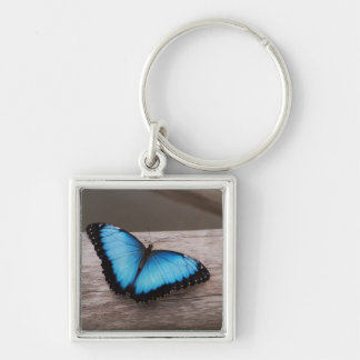 Porte-clés Papillon bleu de Morpho