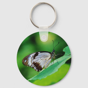 Porte-clés Papillon Brown foncé et gris