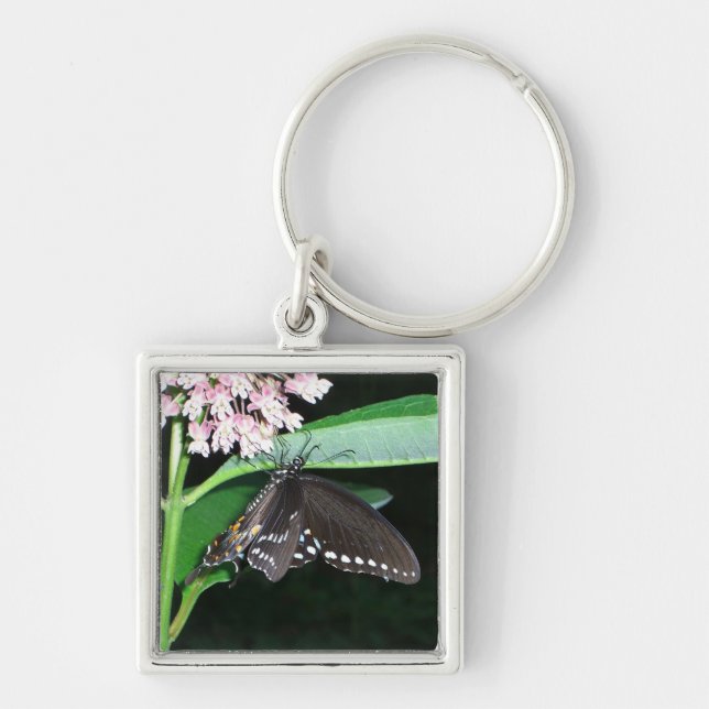 Porte-clés Papillon de nuit noir Swallowtail à Shenandoah (Devant)
