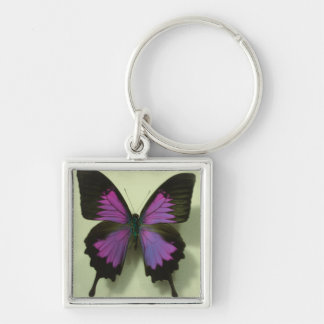 Porte-clés Papillon pourpre