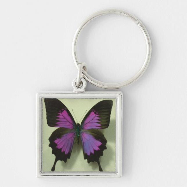Porte-clés Papillon pourpre (Devant)
