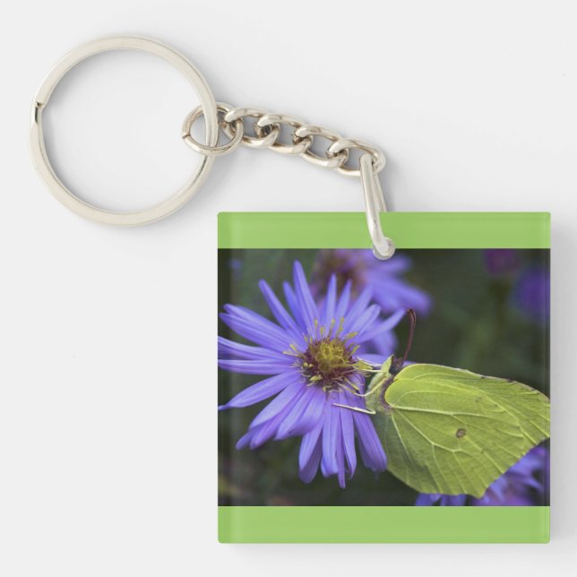 Porte-clés Papillon vert (Devant)