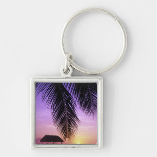 Porte-clés Parc d'État John Pennekamp, Keys de Floride, Key