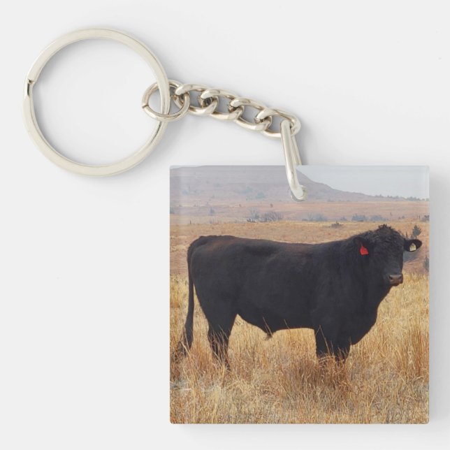 Porte-clés Pâturage de Steer Black Angus avec son troupeau (Devant)