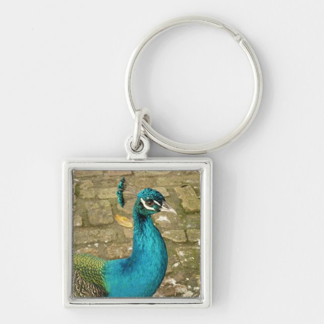 Porte-clés Peacock Belle photographie nature (Devant)