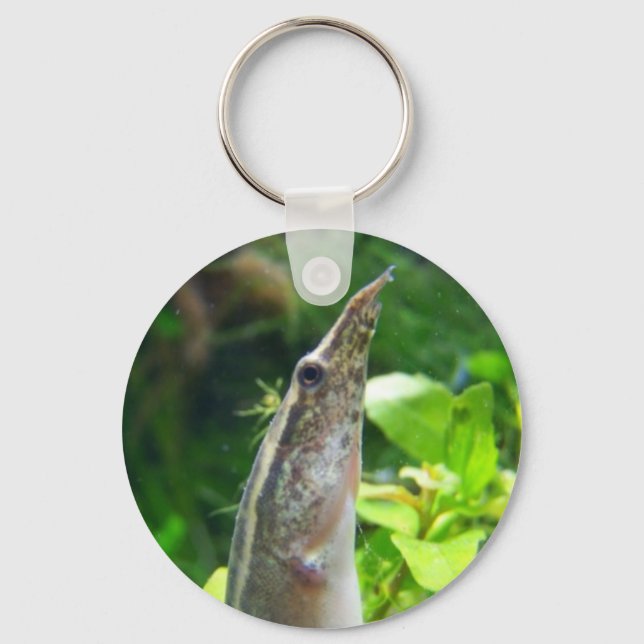 Porte-clés Peacock Eel "Elvis" (Recto)
