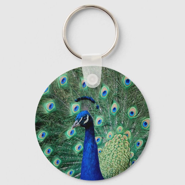Porte-clés Peacock, porte - clé (Recto)