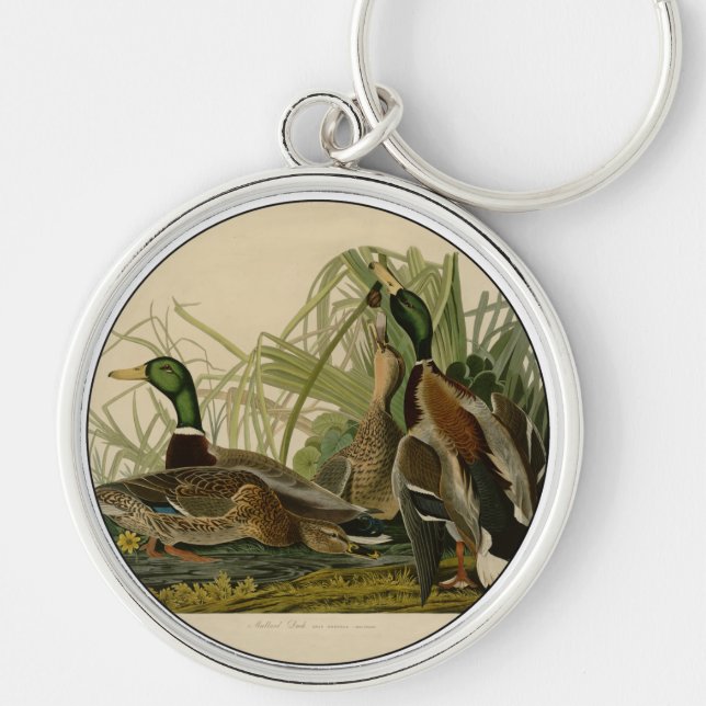 Porte-clés Peinture d'oiseaux de Mallard Duck Audubon (Devant)