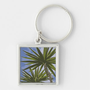 Porte-clés Peinture Effet Photo de Feuilles de Palmier Yucca