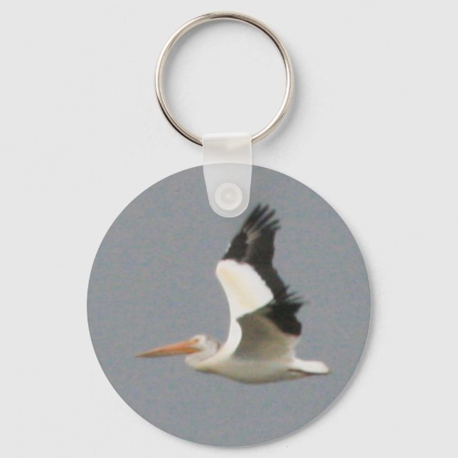 Porte-clés Pélican blanc américain (Recto)