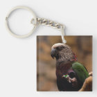 Perroquet rouge de fan