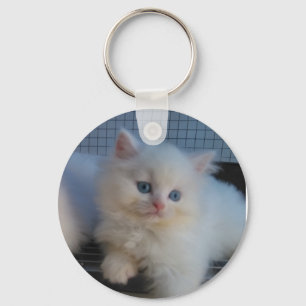 PORTE-CLÉS PERSAN MIGNON DE CHATON DE CAT DE BLANC