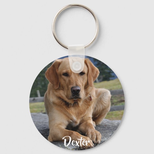 Porte-clés Pet Loss Memorial Photo Keepsaké Citation Sympathi (Recto)