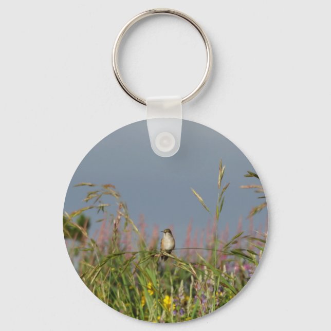 Porte-clés Petit colibri gras (Recto)