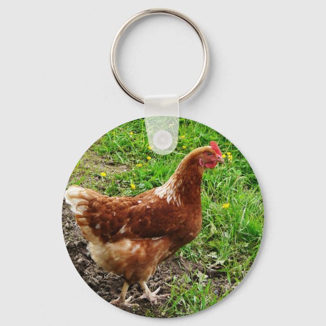 Porte-clés Petit poulet rouge - Couche d'oeuf libre (Recto)