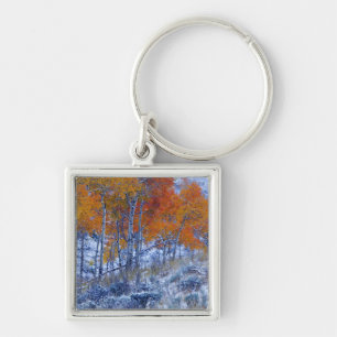 Porte-clés Peupliers trembles en couleurs d'automne, montagne
