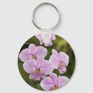 Porte-clés Phalaenopsis Schilleriana