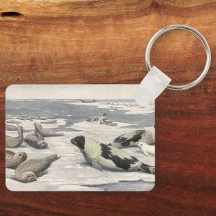 Porte-clés Phoques de la harpe vintage dans la neige arctique
