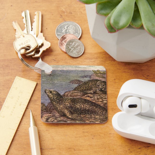 Porte-clés Phoques du port vintage, Marine Vie Animaux de l'o (Bureau)