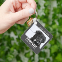 Photo de la sympathie de la mémoire des animaux de