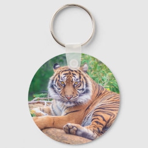Porte-clés Photo de tigre étonnante