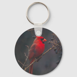 Porte-clés Photo du cardinal rouge de la faune