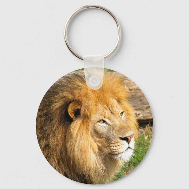 Porte-clés Photo du lion africain de la faune (Recto)