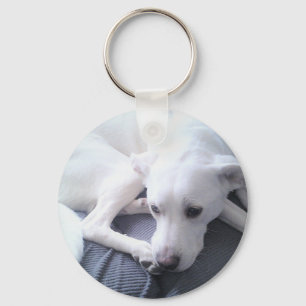 Porte-clés Photo d'un magnifique mélange blanc de Labrador Re