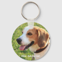 Photo et nom du chien Beagle personnalisé