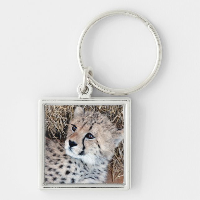 Porte-clés Photo mignonne de CUB de guépard (Devant)