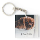 Photo personnalisée pour animal de compagnie