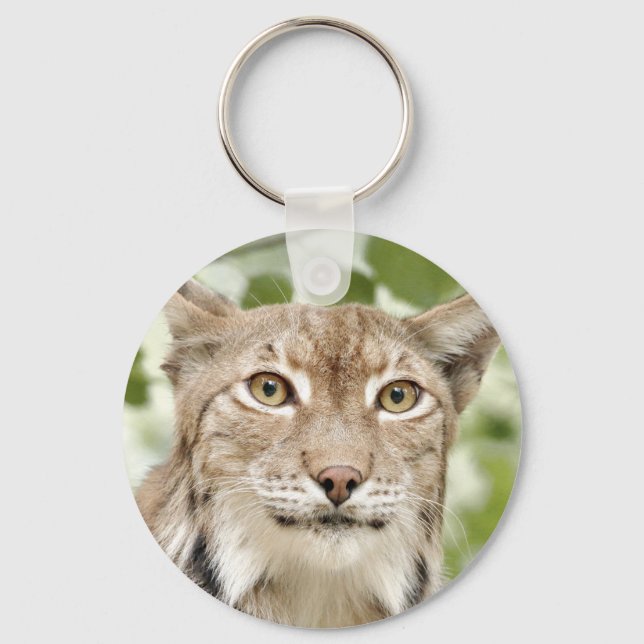 Porte-clés photo porte - clé lynx, chat, animaux . (Recto)