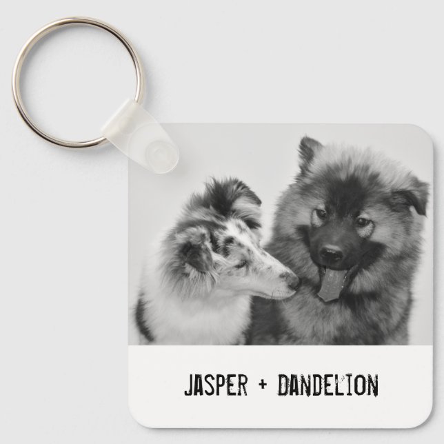 Porte-clés Photo simple, moderne personnalisée pour animaux d (Recto)