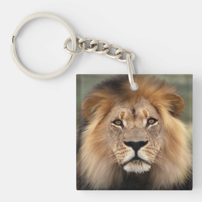 Porte-clés Photographie de lion (Devant)