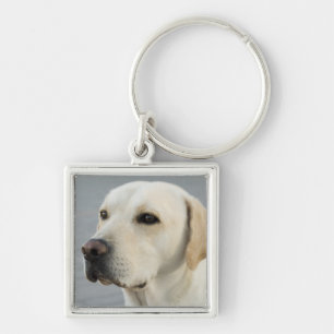 Porte-clés Photographie d'or de labrador retriever