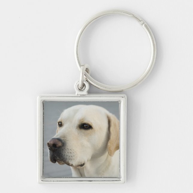 Porte-clés Photographie d'or de labrador retriever (Devant)