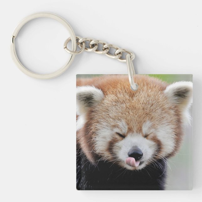 Porte-clés photographie porte - clé panda rouge. (Devant)