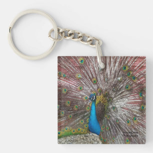 Porte-clés Pic